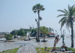 Amphan Effected Sundarban