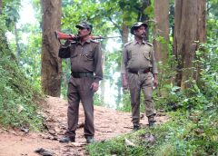 Forest Guard Award