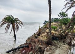 ghoramara island