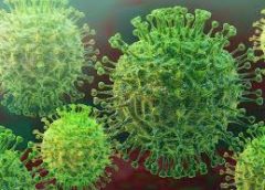 Corona Virus