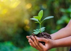 World Invironment Day