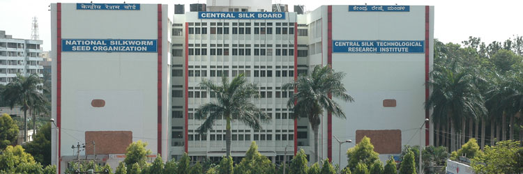 central silk board 2