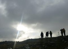 solar-eclipse