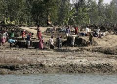 sundarban