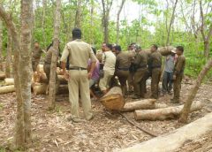 tripura forest