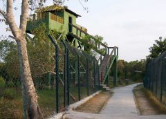 watch-towers-of-sundarban