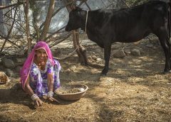 Gobar-Dhan Yojana