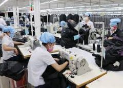 Industry Labour