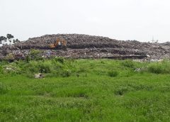 Kadambagachi (2)