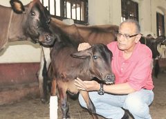 Veterinary Doctor