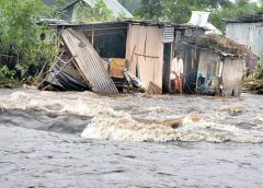 north bengal