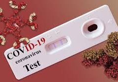 Antibody test