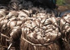 Jute