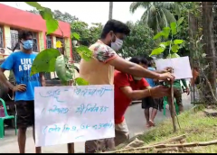 Tree Plantation