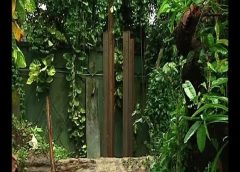 alipore zoo