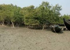 mousuni island