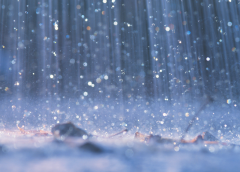 rain weather