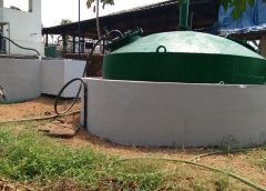 Bio Gass