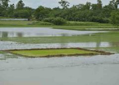 Jamuna-Ichamati River