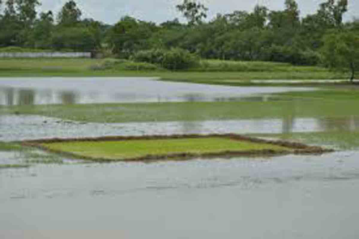 Jamuna-Ichamati River
