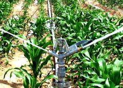 Sprinkler