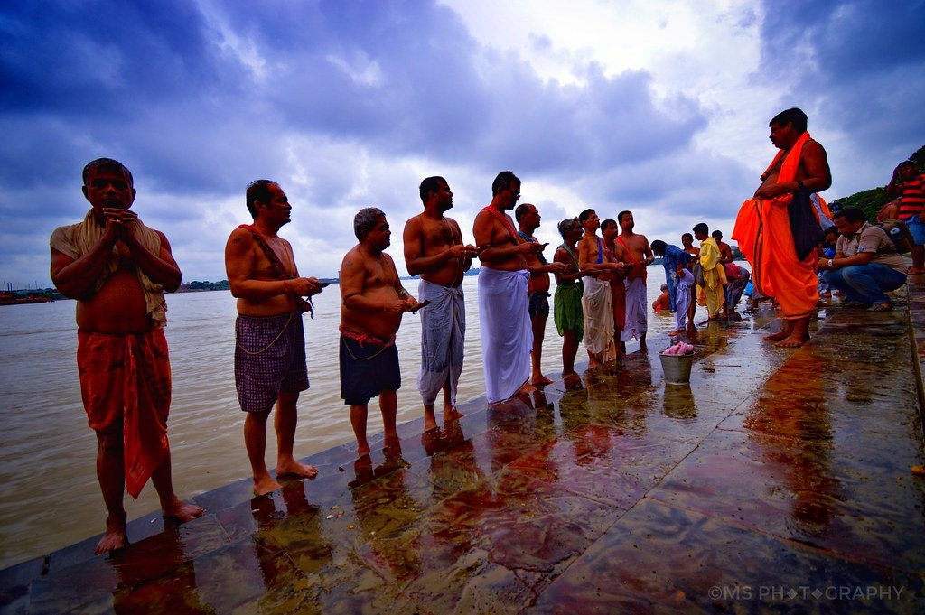 Tarpan according to social distance