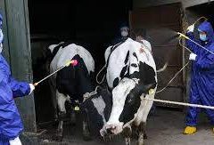 epidemic in china