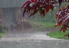 rain