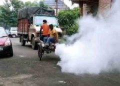 Bidhannagar and Dengue