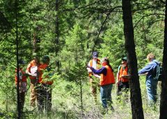 Forest Recruitment