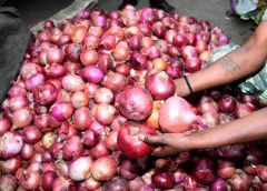 Onions