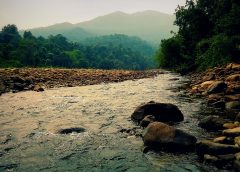 Simlipal National Park