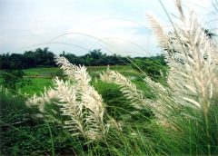 burdwan kashful