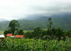 north bengal ture