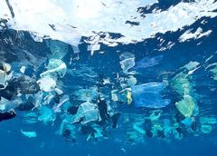 plastic under the sea