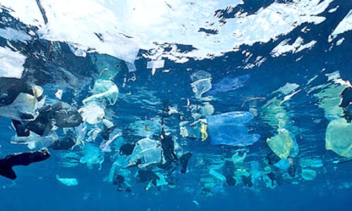 plastic under the sea
