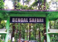 siliguri bengal safari park