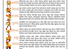 Horoscope8
