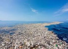 Plastic Pollution
