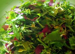 Vegetables