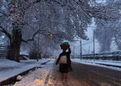 Srinagar