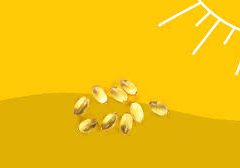 Vitamin D