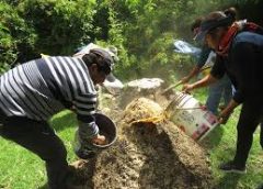 germs fertilizer