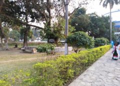 Central Park