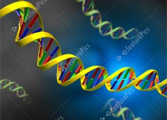 DNA