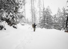 SIMLA AND SNOWFALL