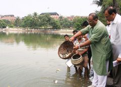 State Fishery Officers Association