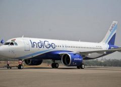indigo and service