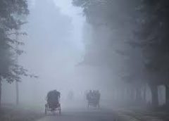 winter and north bengal