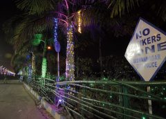 Eco Park-2